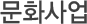 문화사업