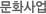 문화사업